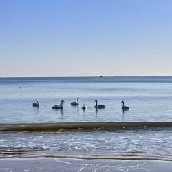 Author Allen profile picture